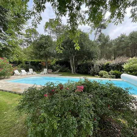 Avec Piscine Et Animaux Admis - 8-10 Pers. - Fr-1-881-7 * Vielle-Saint-Girons